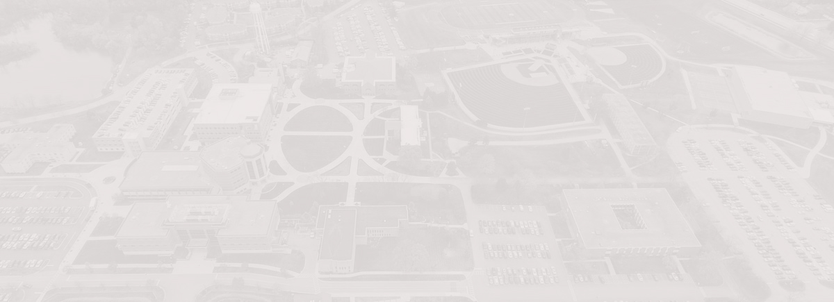 aerial map of Lisle campus gray backgroun