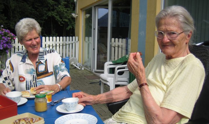 assisted living, nutrition capstone