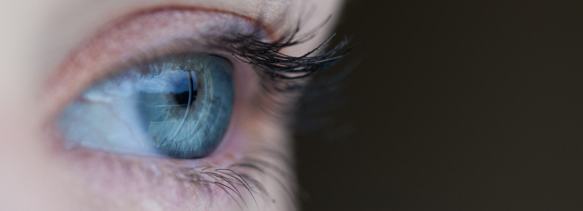 close up of an eye, pre-optometry