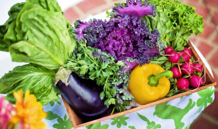 box of colorful vegetables, Nutrition and Food Science Minor program
