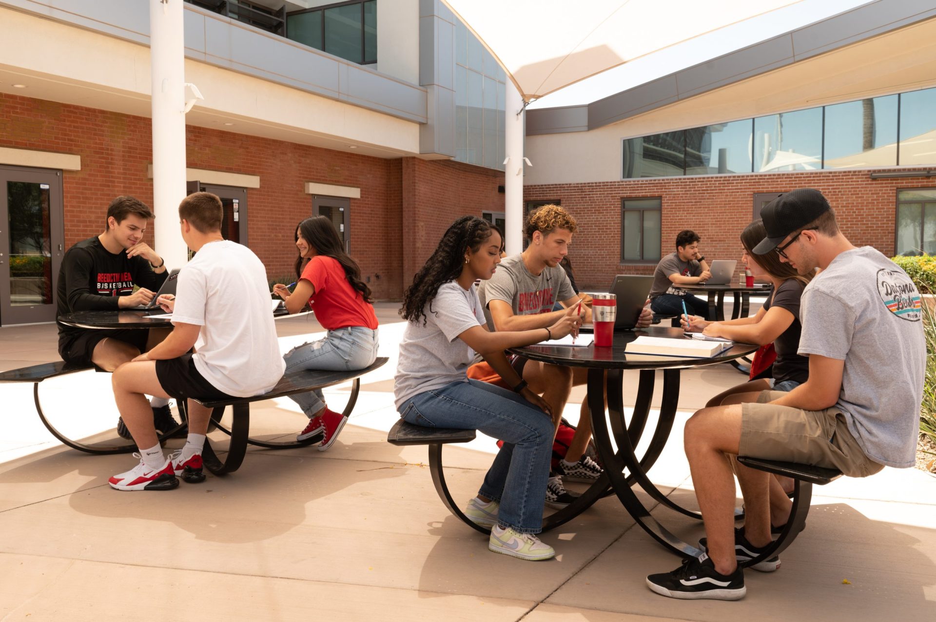 Mesa, students studying on campus, study group