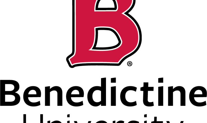 B Vertical logo