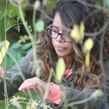 Ecology class, female student outside measuring plants