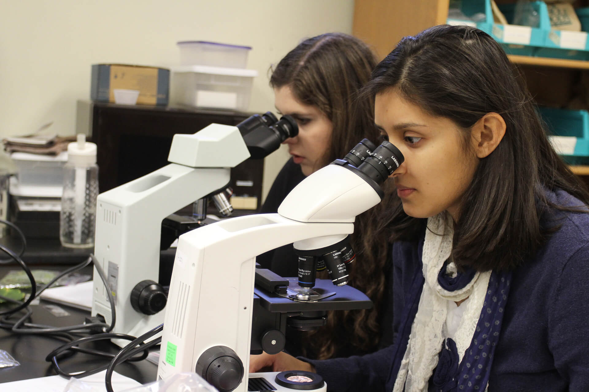 female biology students using microscopes