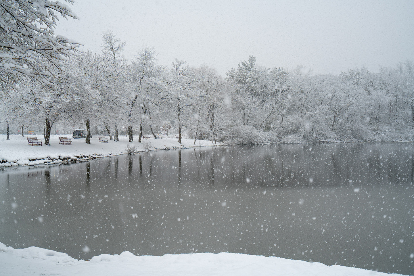 Winter on Lisle Campus, Lake St. Benedict with snow-covered trees and ground