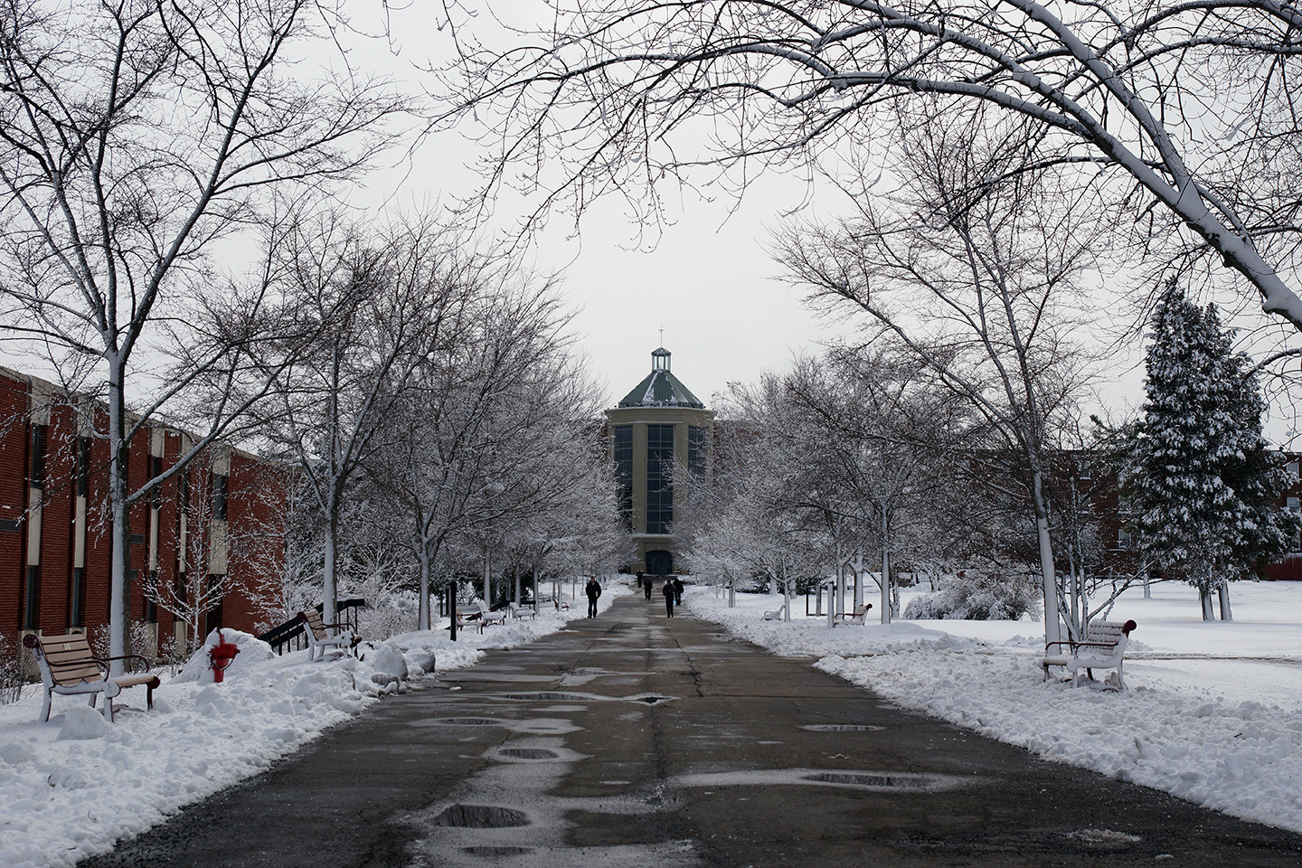 Lisle campus winter