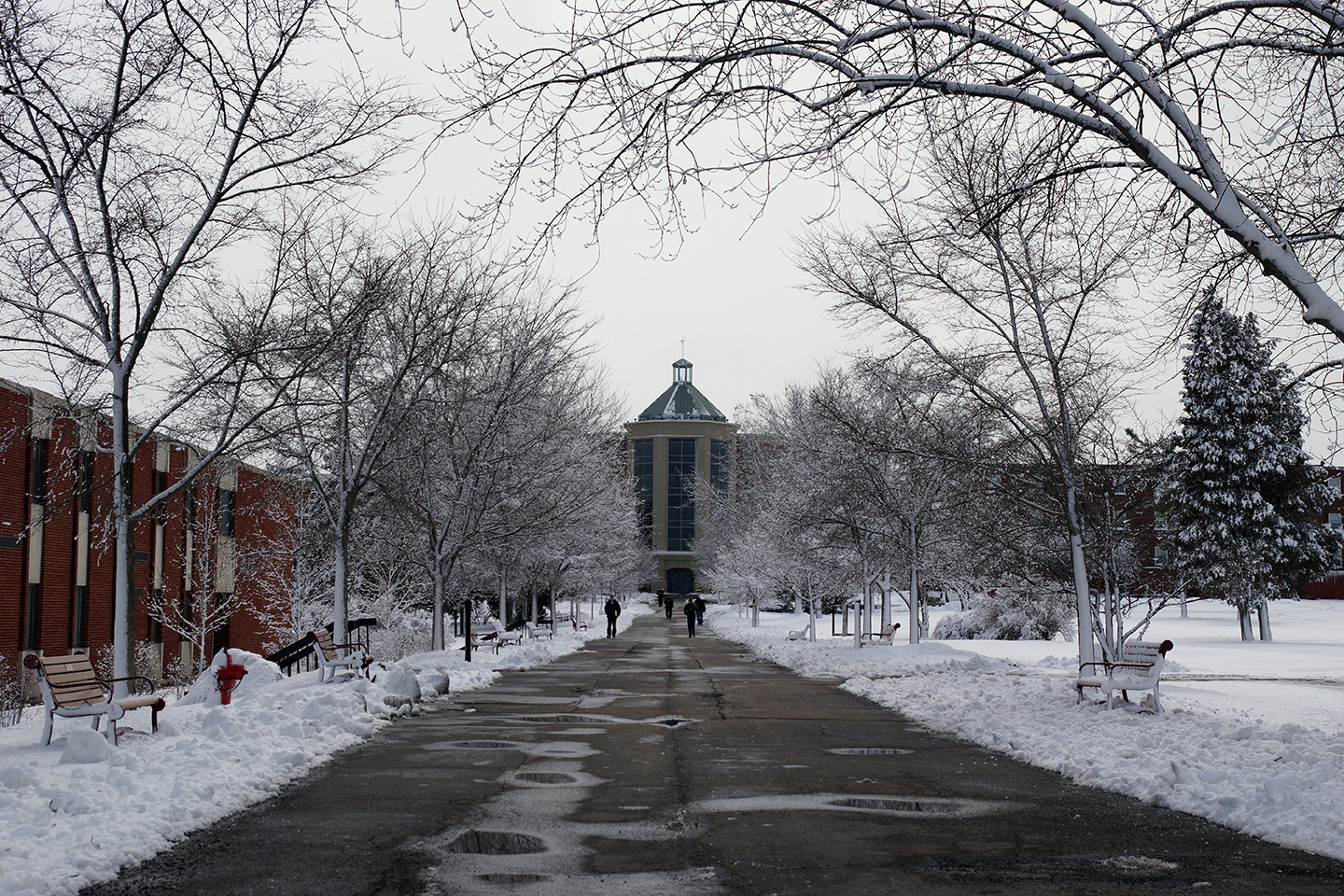 Winter Session Courses, University of Illinois