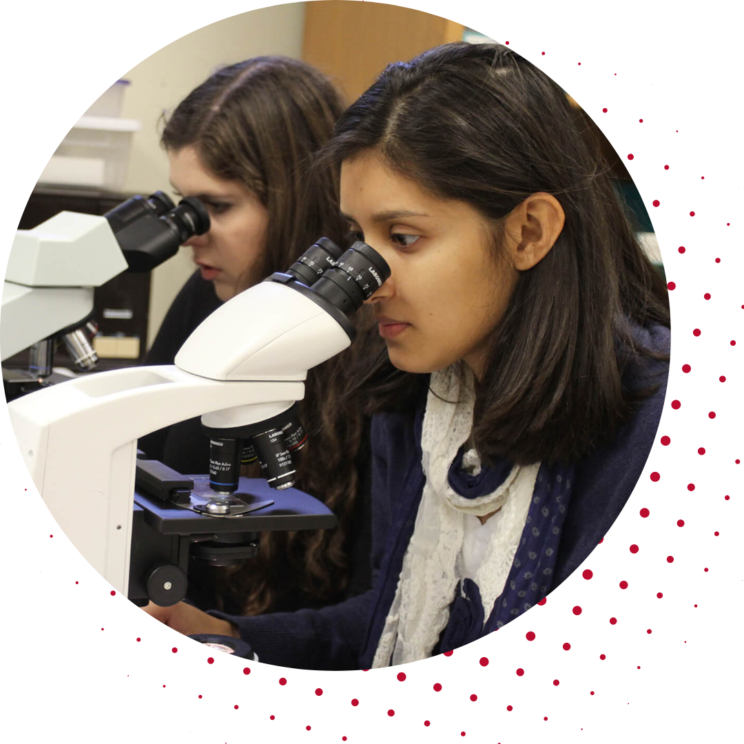 students-microscopes-research