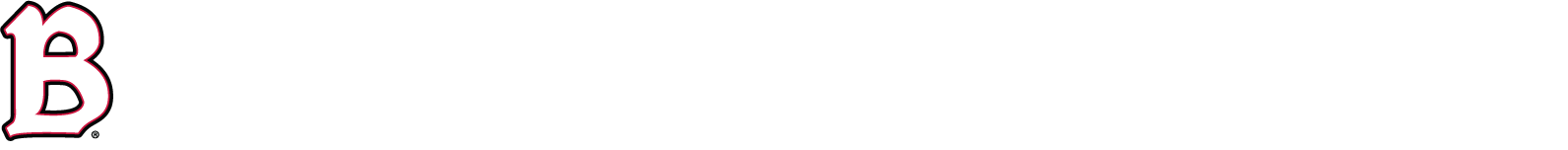 Benedictine University horizontal logo